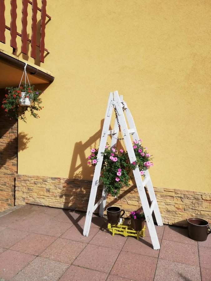 Apartament Nad Szumiacym Potokiem Wilkowice Zewnętrze zdjęcie